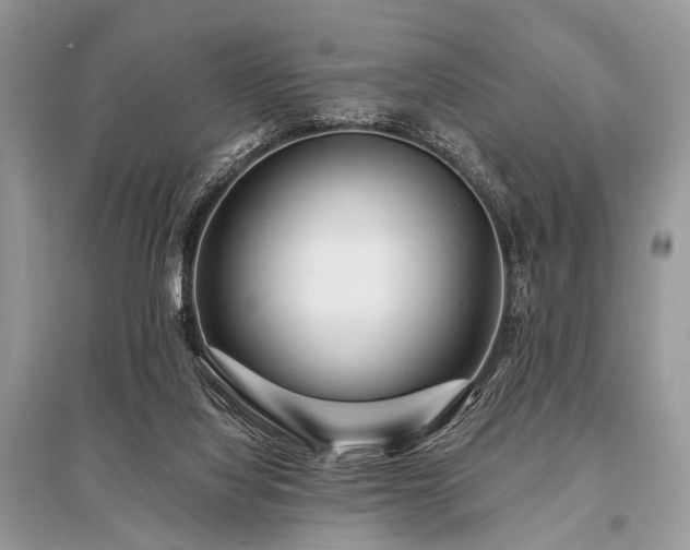 X0000096130068200801251027