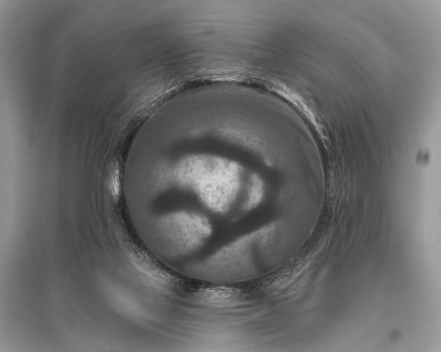 X0000096130069200801251027