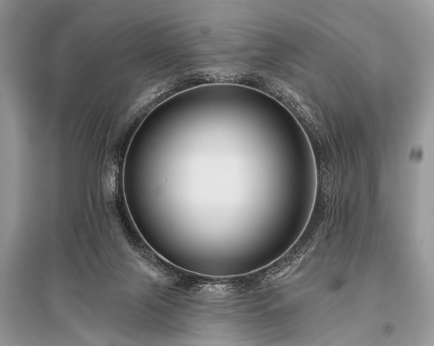 X0000096130071200801251027