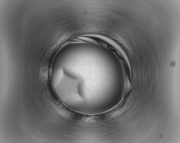 X0000096130072200801251027