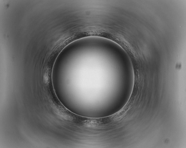 X0000096130074200801251027