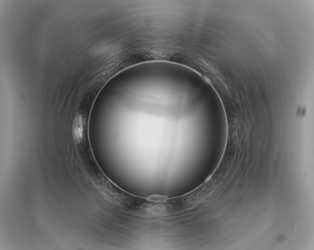 X0000096130075200801251027