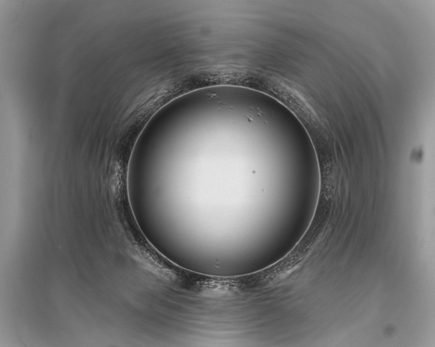 X0000096130077200801251027