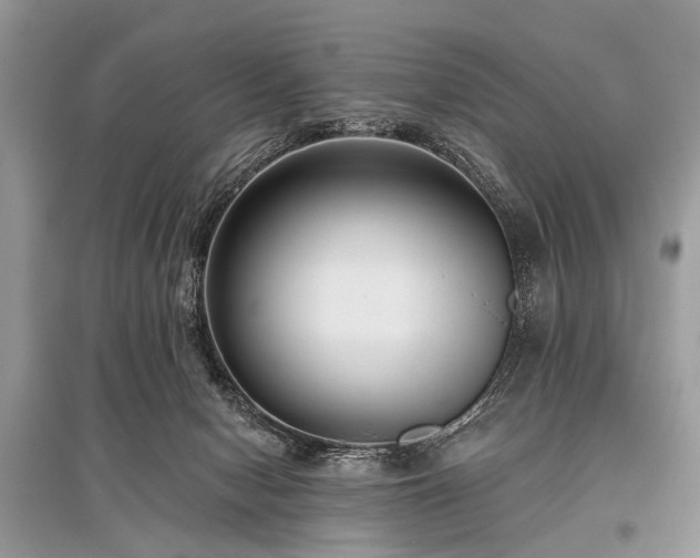 X0000096130078200801251027