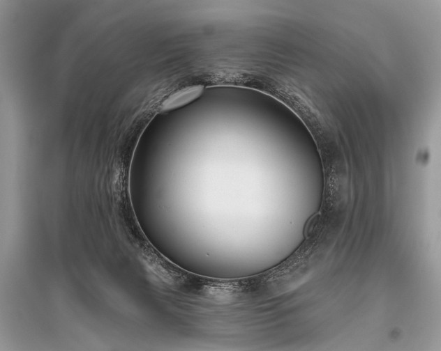 X0000096130079200801251027