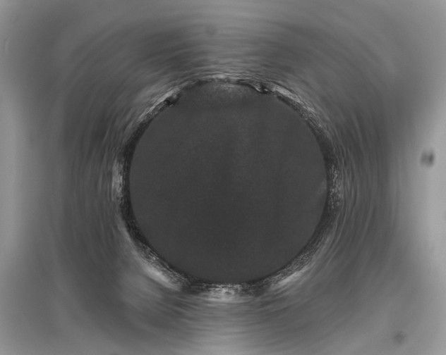 X0000096130080200801251027