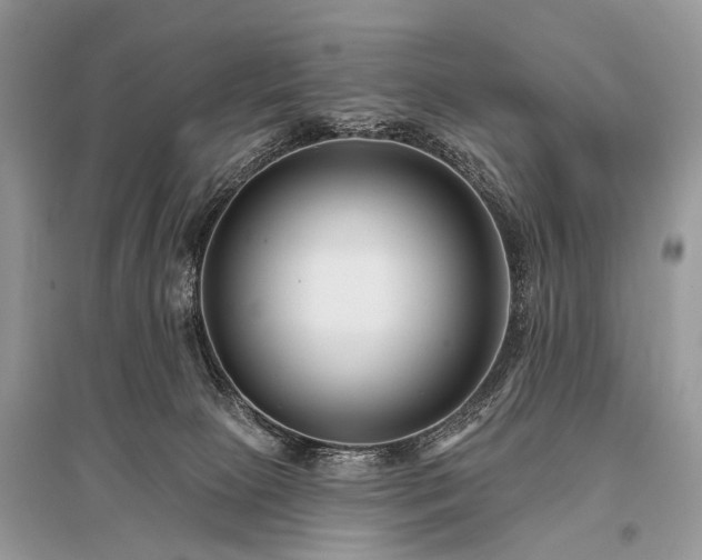 X0000096130081200801251027