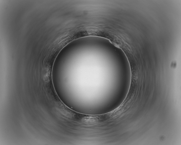 X0000096130082200801251027