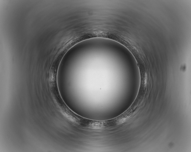 X0000096130084200801251027