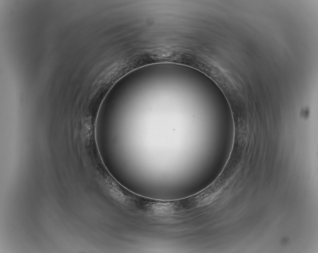 X0000096130085200801251027