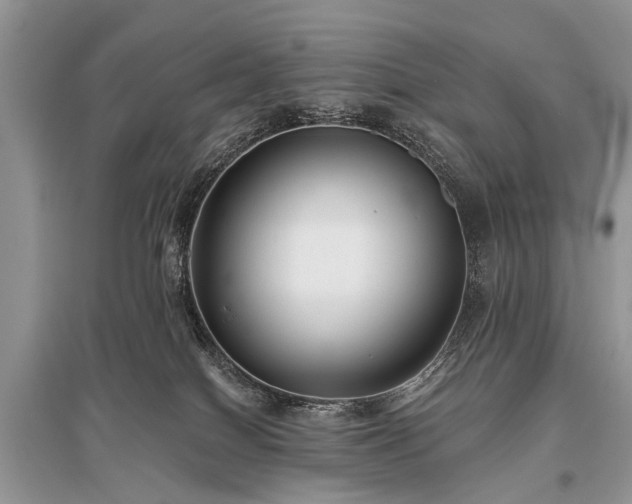 X0000096130086200801251027