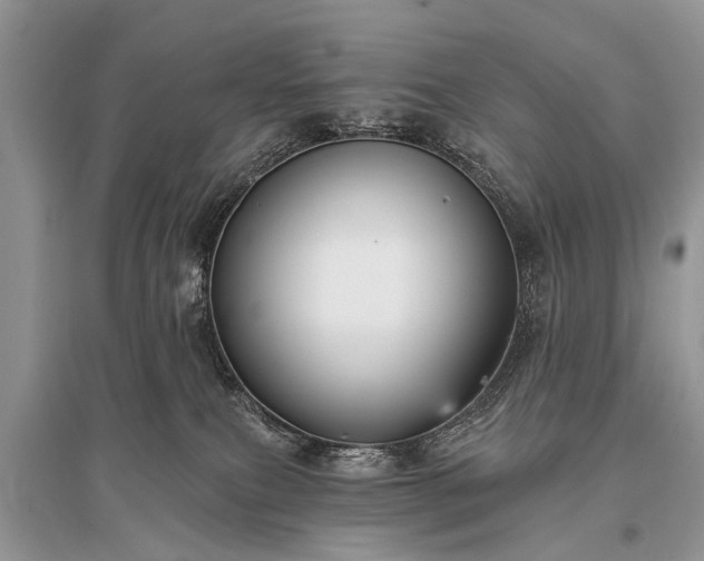 X0000096130087200801251027