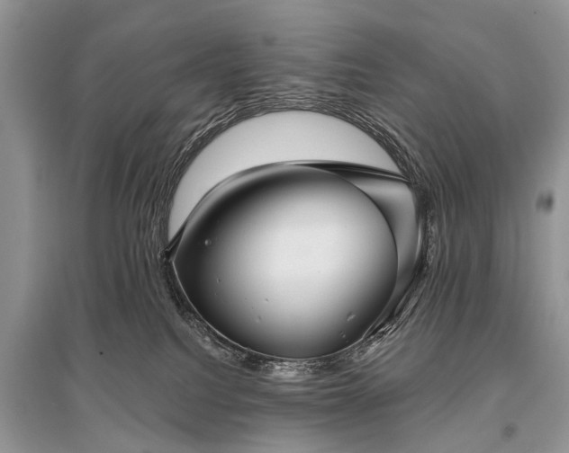 X0000096130088200801251027