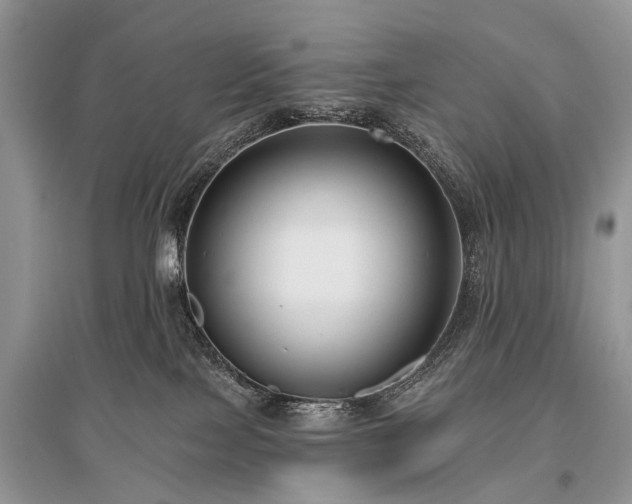 X0000096130089200801251027