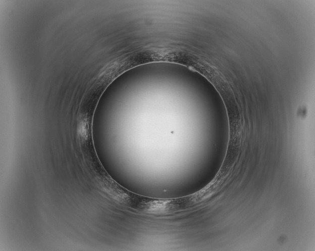 X0000096130090200801251027