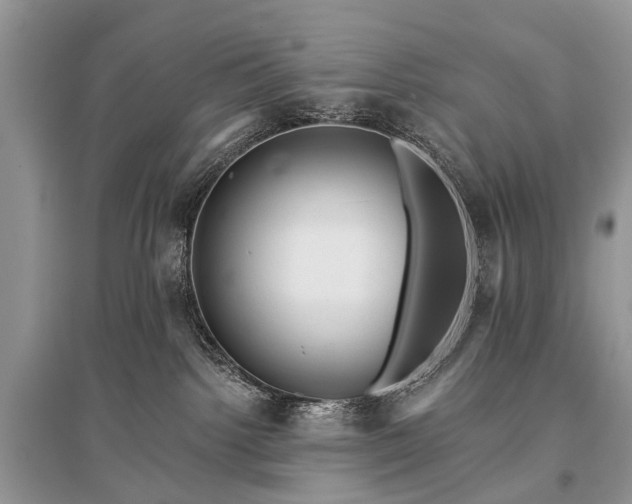 X0000096130092200801251027