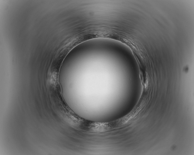 X0000096130093200801251027