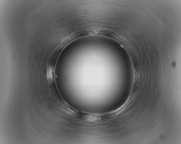 X0000096130094200801251027