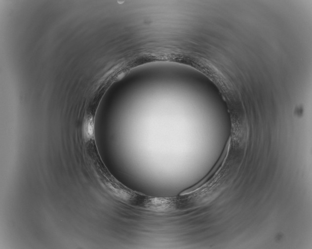 X0000096130095200801251027