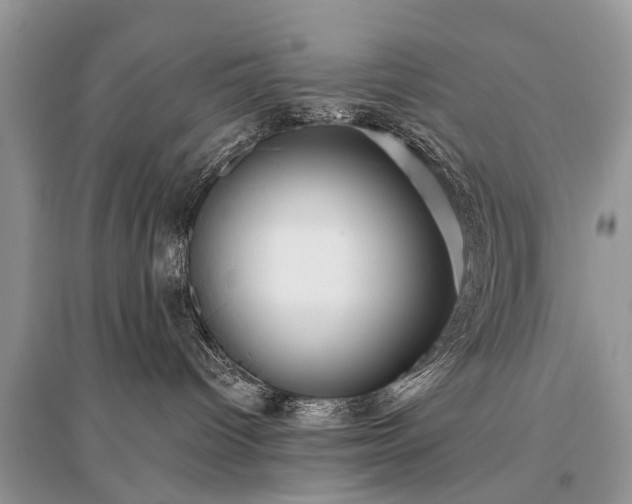 X0000096130096200801251027