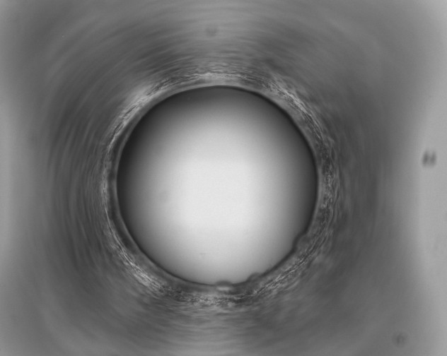 X0000096130098200801251026