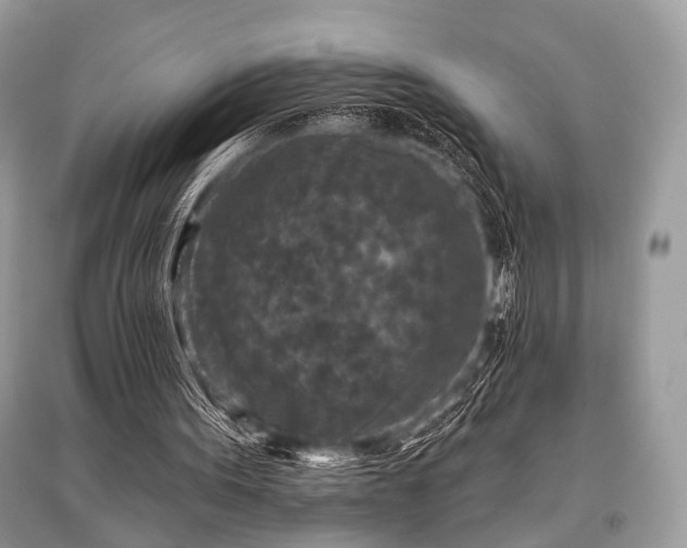 X0000096130099200801251026