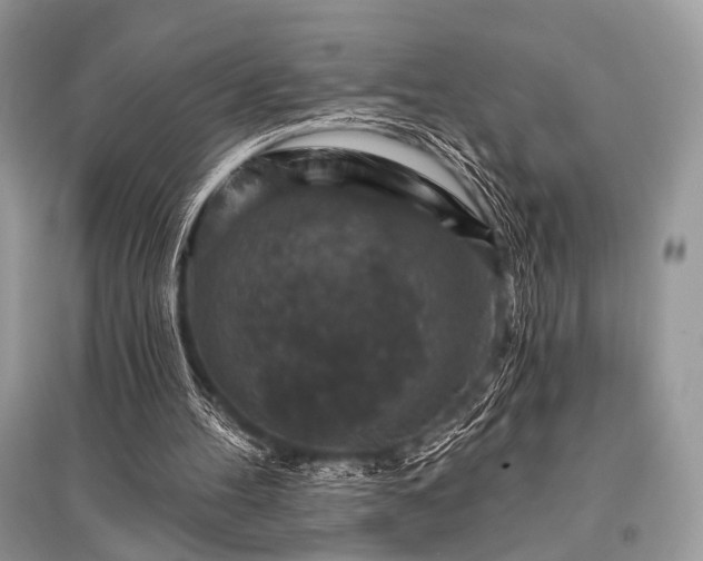X0000096130100200801251026