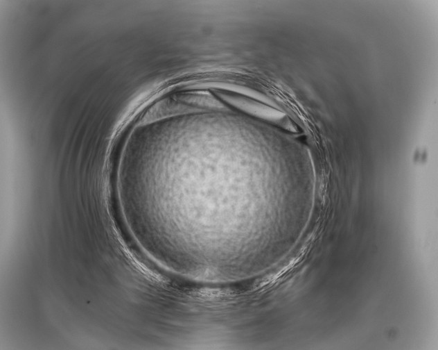 X0000096130101200801251026