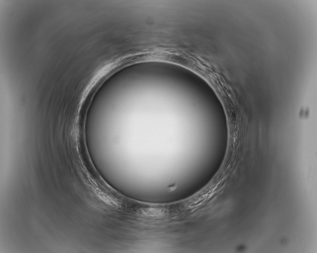 X0000096130102200801251026