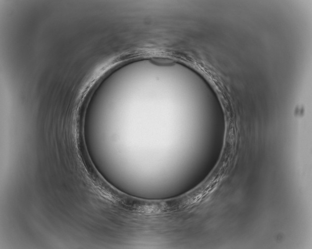 X0000096130103200801251026