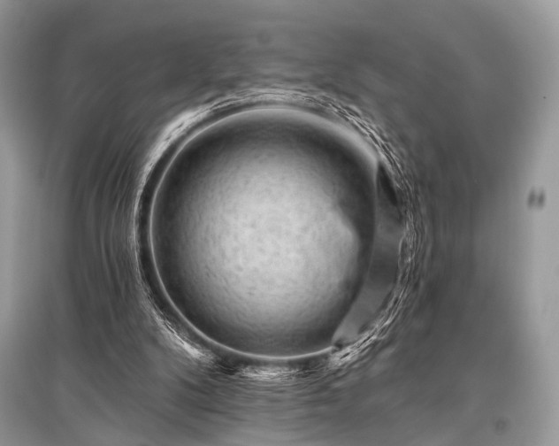 X0000096130104200801251026