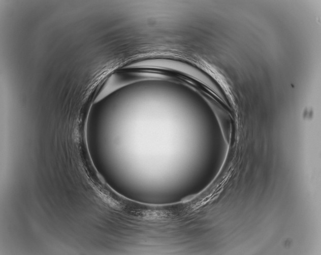 X0000096130105200801251026