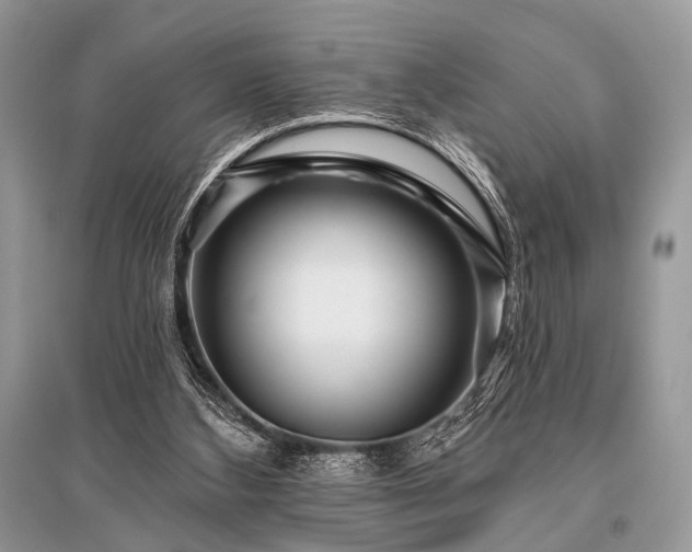 X0000096130108200801251026