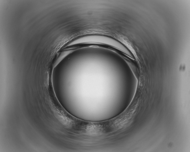 X0000096130109200801251026