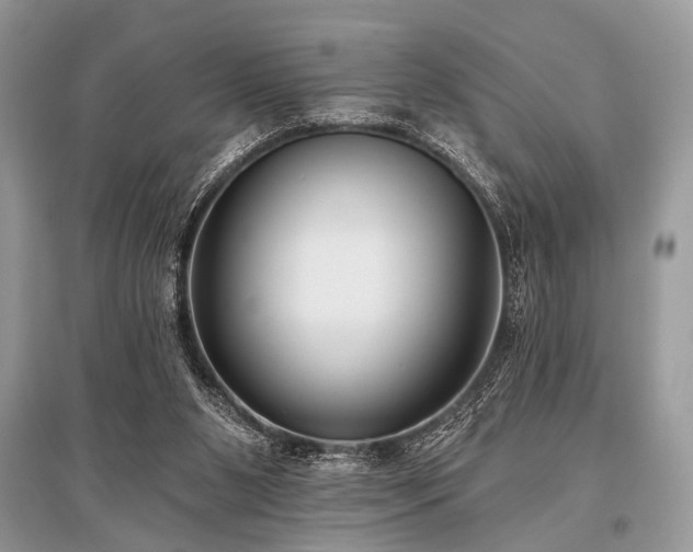 X0000096130111200801251026