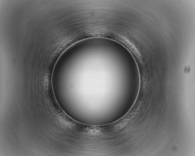 X0000096130113200801251026