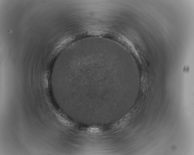 X0000096130114200801251026