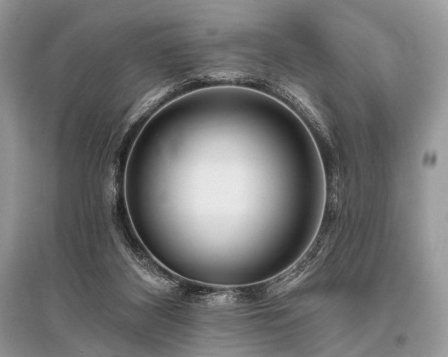 X0000096130116200801251026