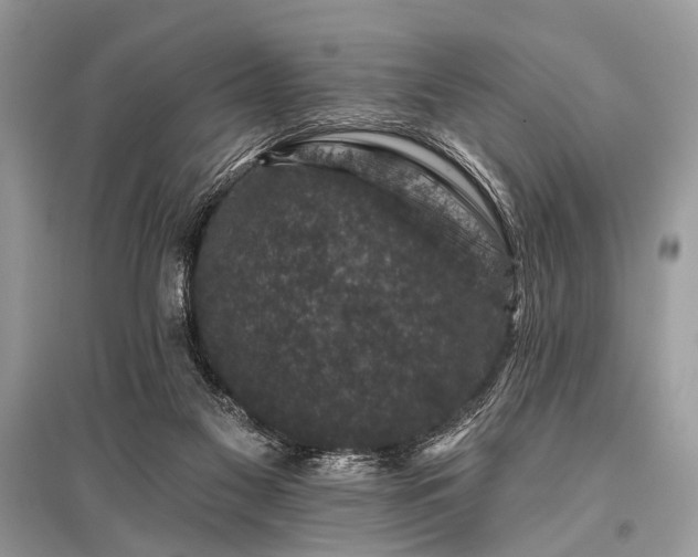 X0000096130117200801251026