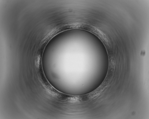 X0000096130118200801251026