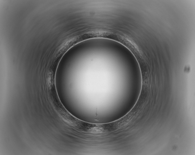 X0000096130119200801251026