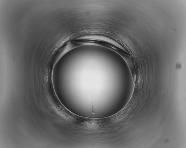 X0000096130120200801251026