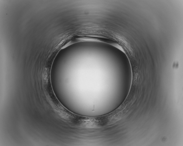 X0000096130121200801251026