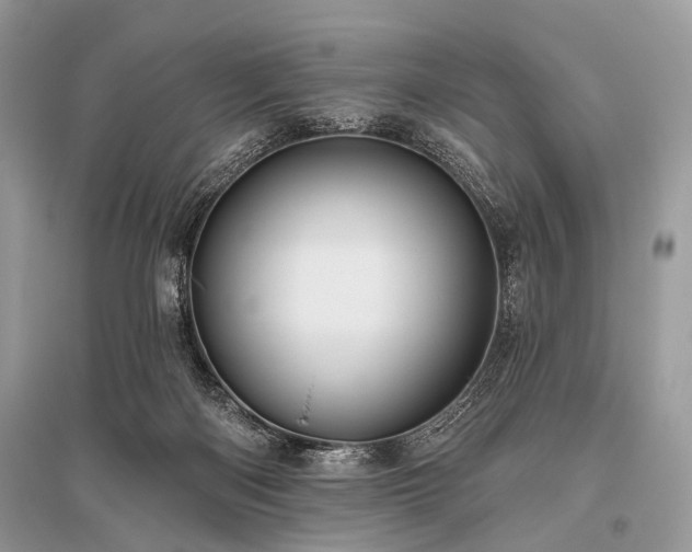 X0000096130122200801251026