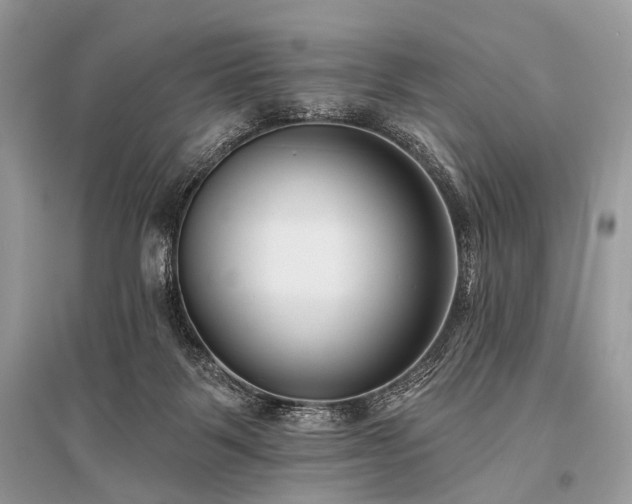 X0000096130123200801251026