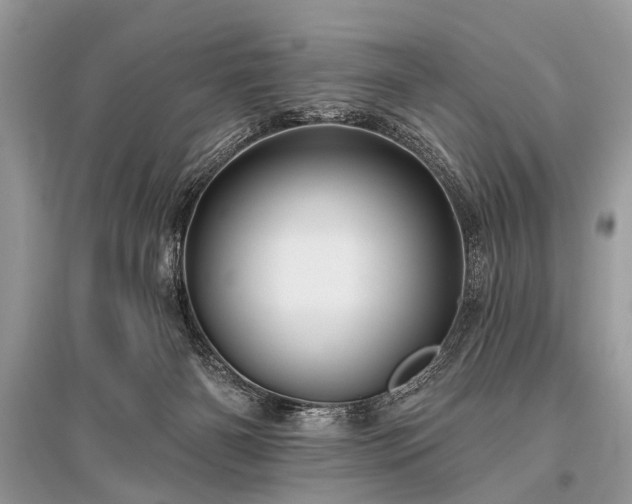 X0000096130126200801251026