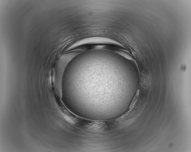 X0000096130128200801251026