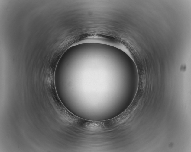 X0000096130129200801251026