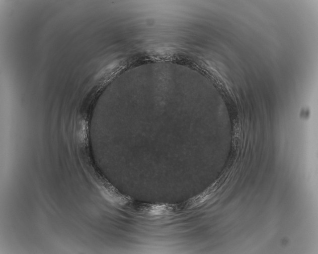 X0000096130130200801251026