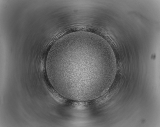 X0000096130131200801251026